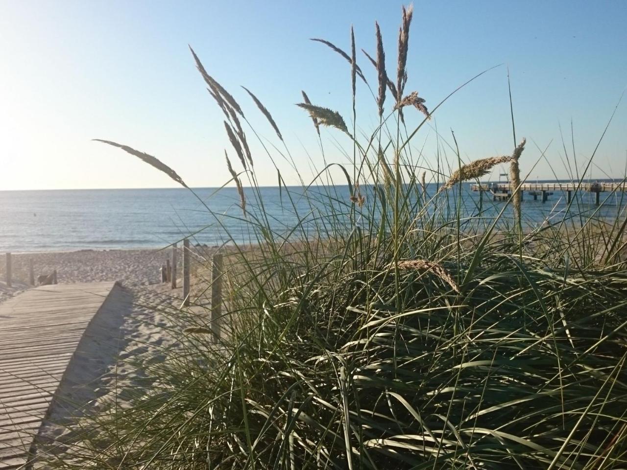 Holiday Home In Rerik Near The Baltic Sea ภายนอก รูปภาพ